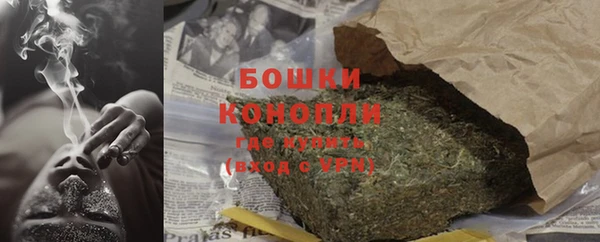 амф Няндома