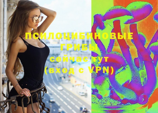 МДПВ Нязепетровск