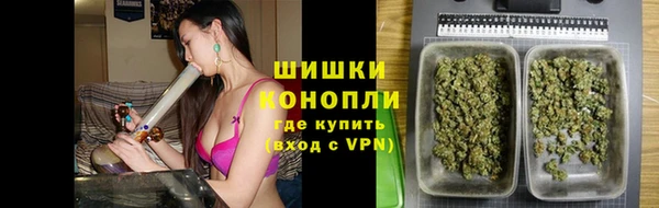 амф Няндома