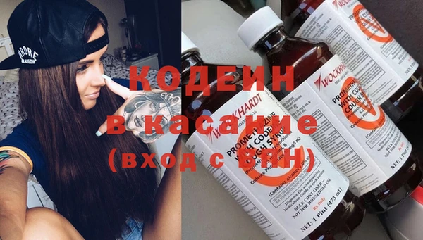 амф Няндома