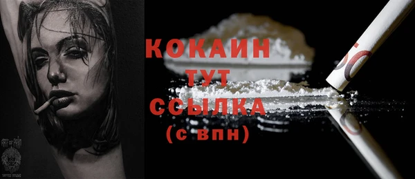 амф Няндома
