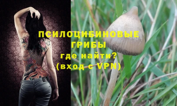 амф Няндома