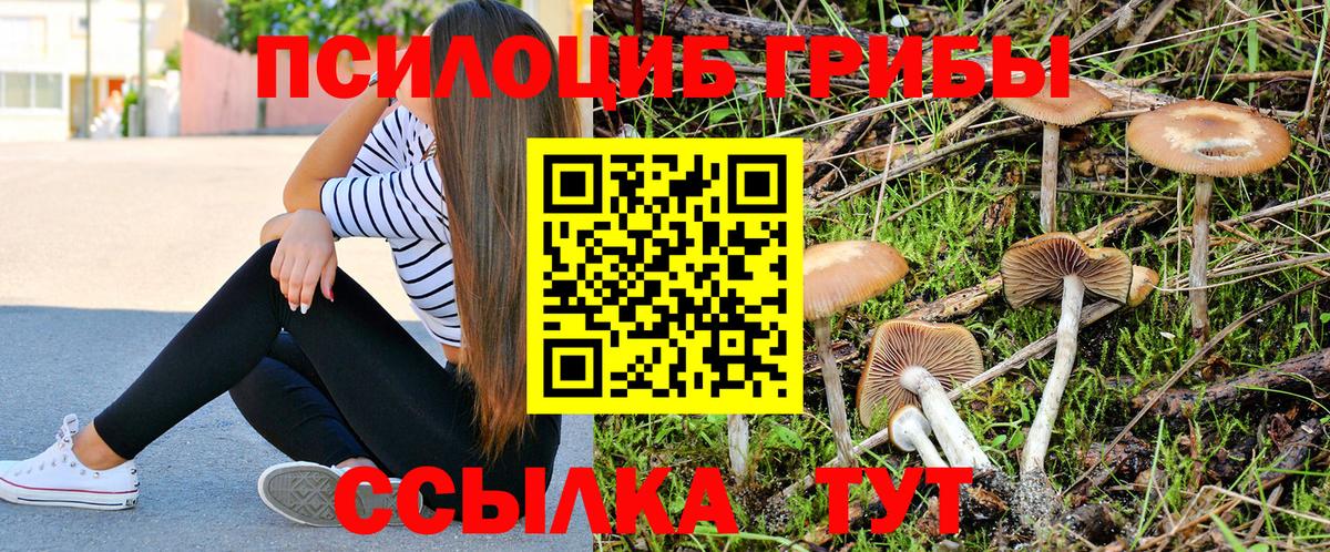 Псилоцибиновые грибы MAGIC MUSHROOMS Котлас