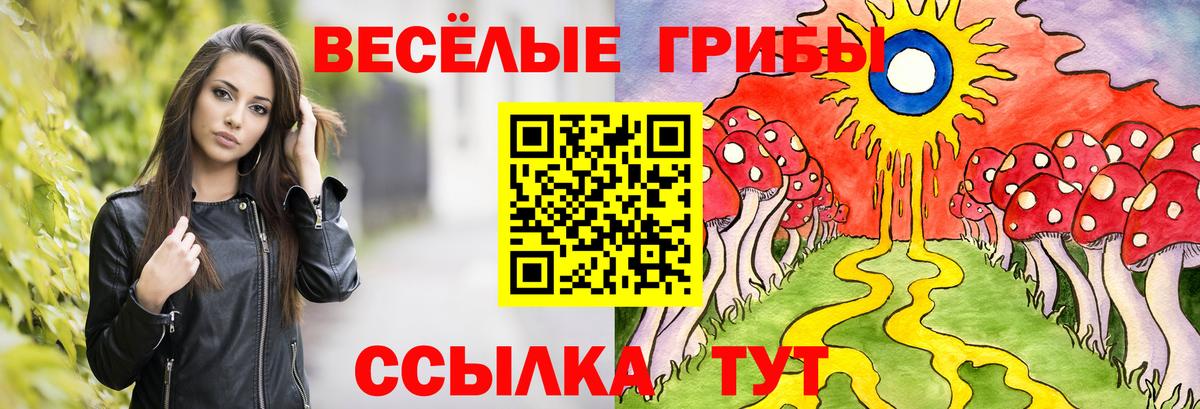 Галлюциногенные грибы ЛСД  Вход с VPN  Котлас  Псилоцибиновые грибы ЛСД 