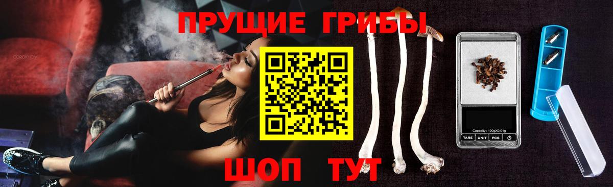 Псилоцибиновые грибы мицелий  Котлас 